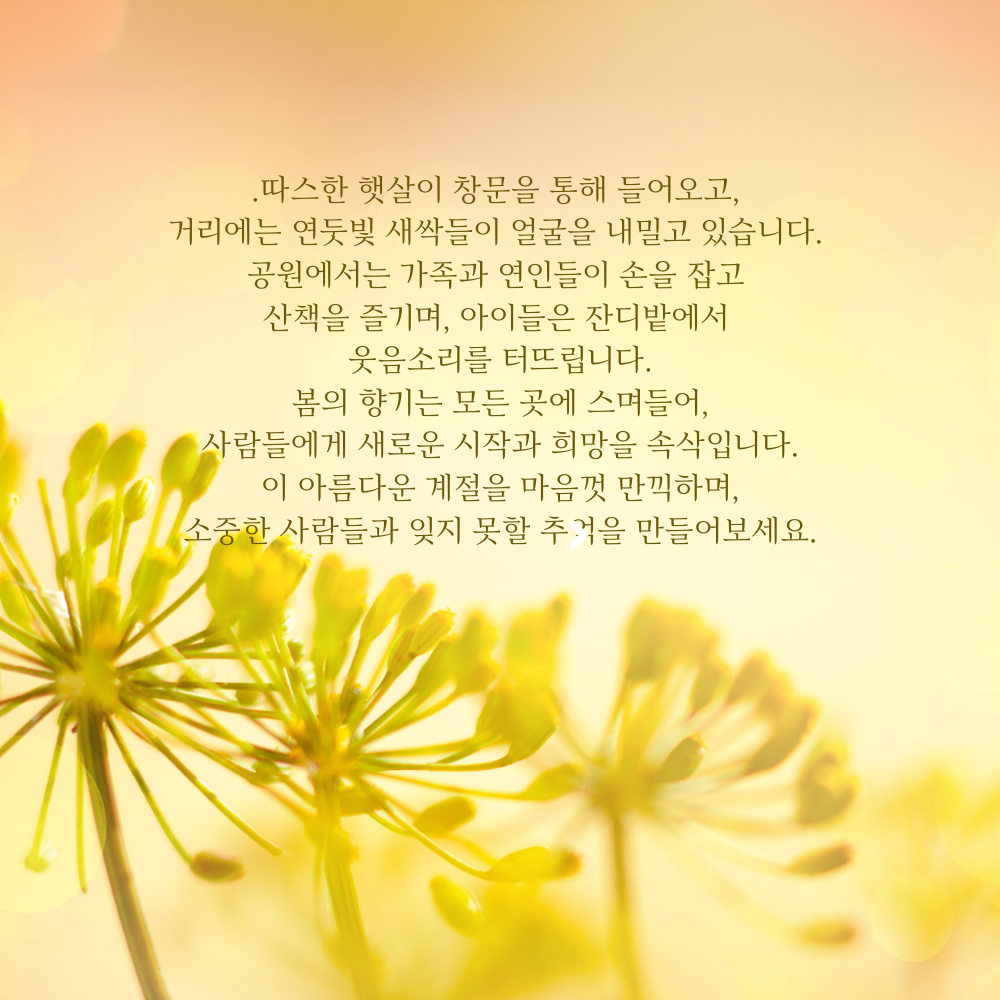 춘분 인사말 봄 안부 인사글귀 좋은 3월 인사이미지 문구 모음