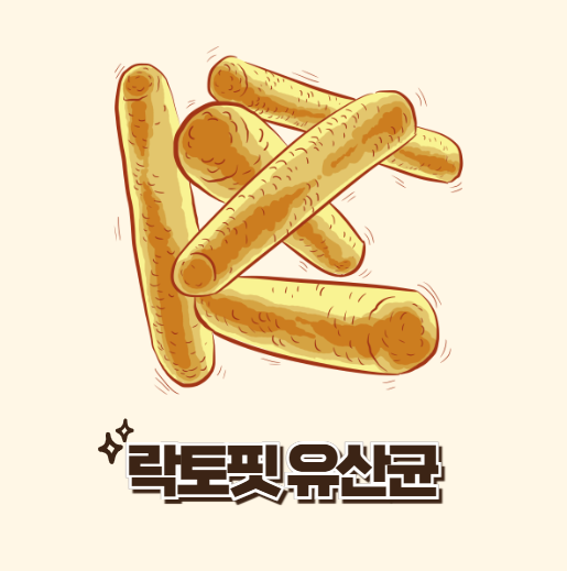 락토핏 유산균