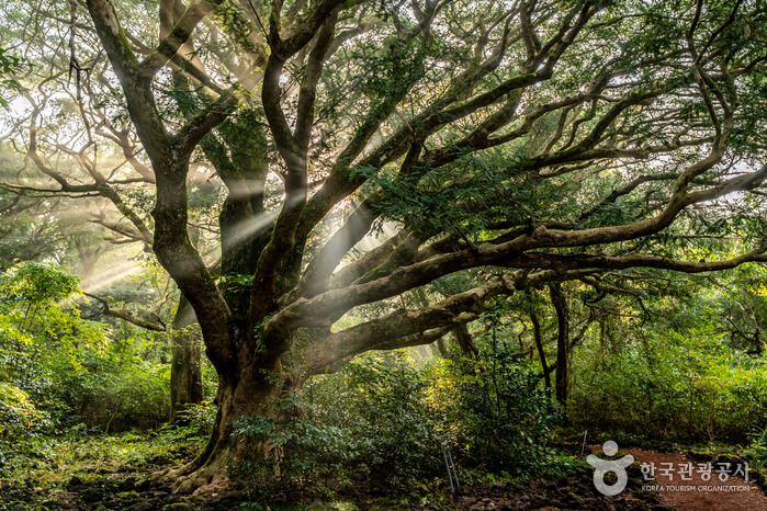 국내여행지 추천[한국관광 100선]