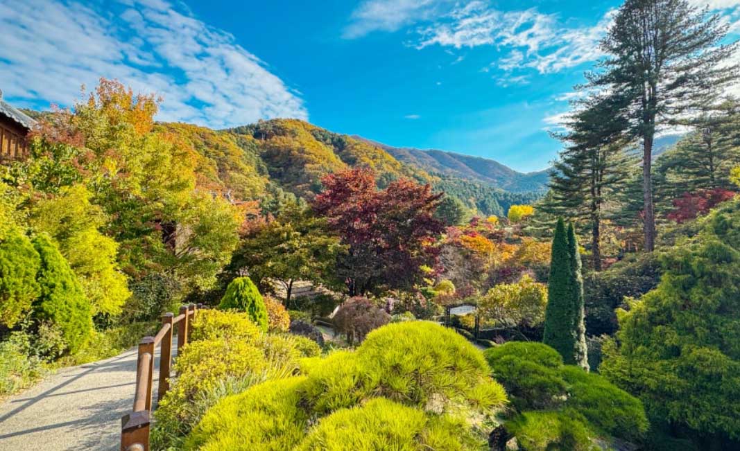 가평 아침고유수목원