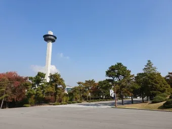 2025년 육군사관학교 1차 커트라인 2025학년도 1차시험 합격컷 연도별 분석_19