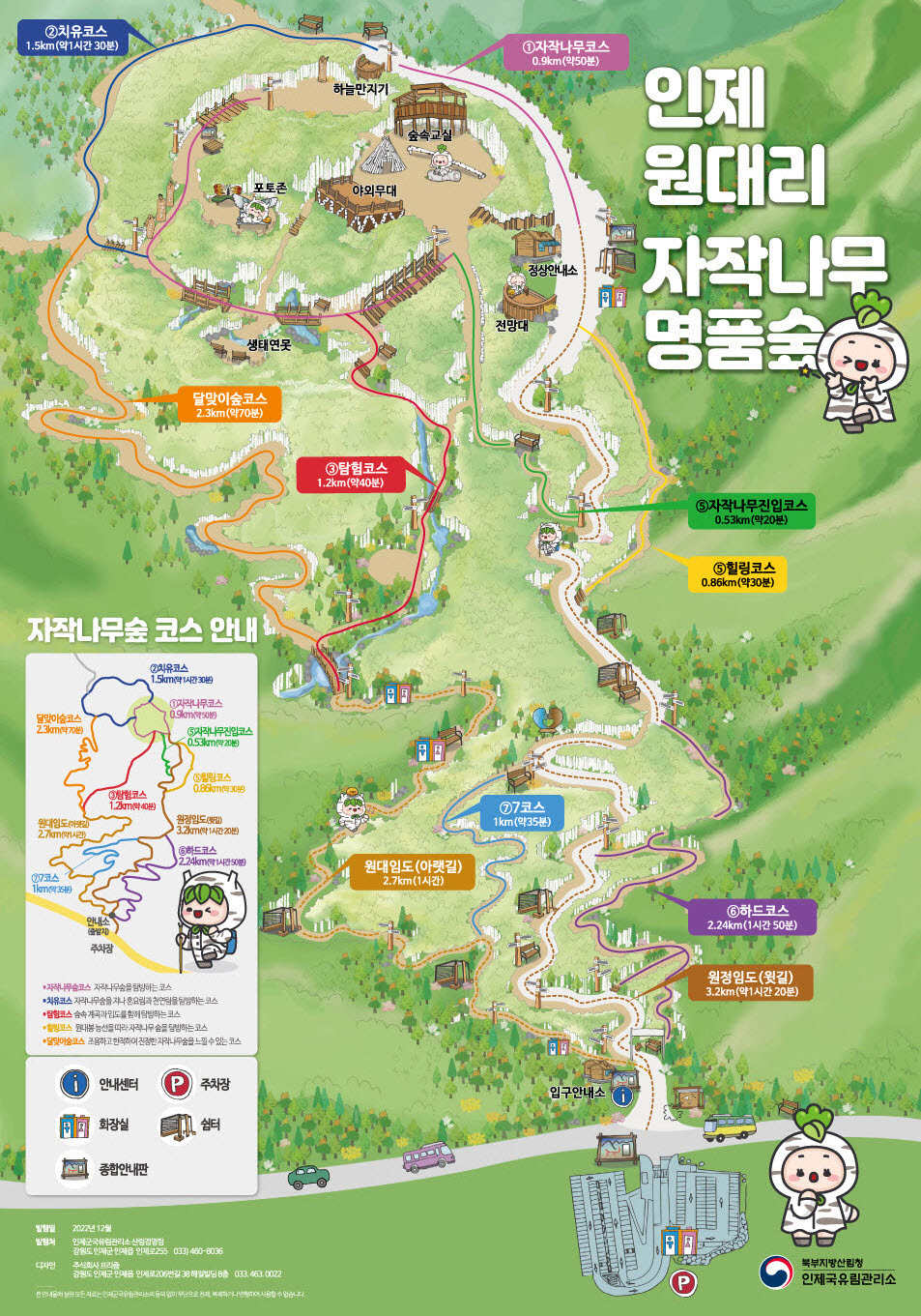 속삭이는 자작나무 숲 코스