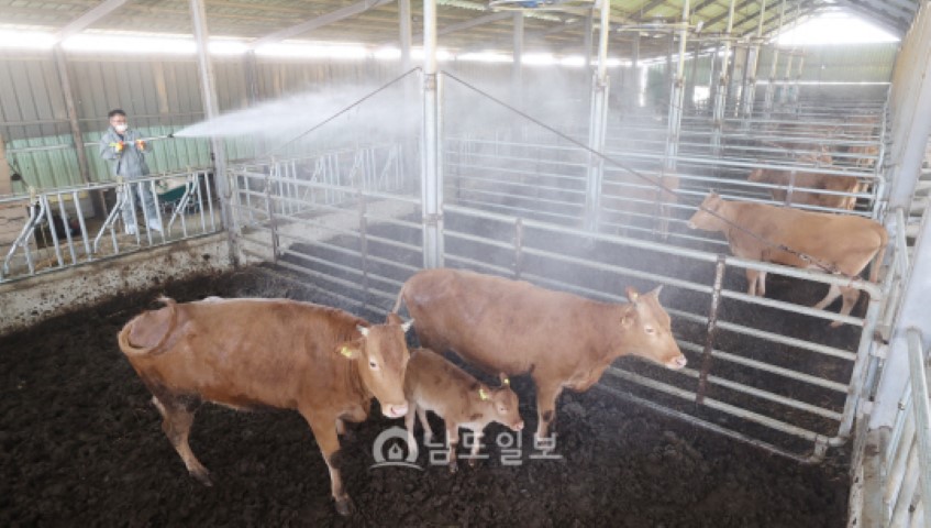 럼피스킨병 관련주