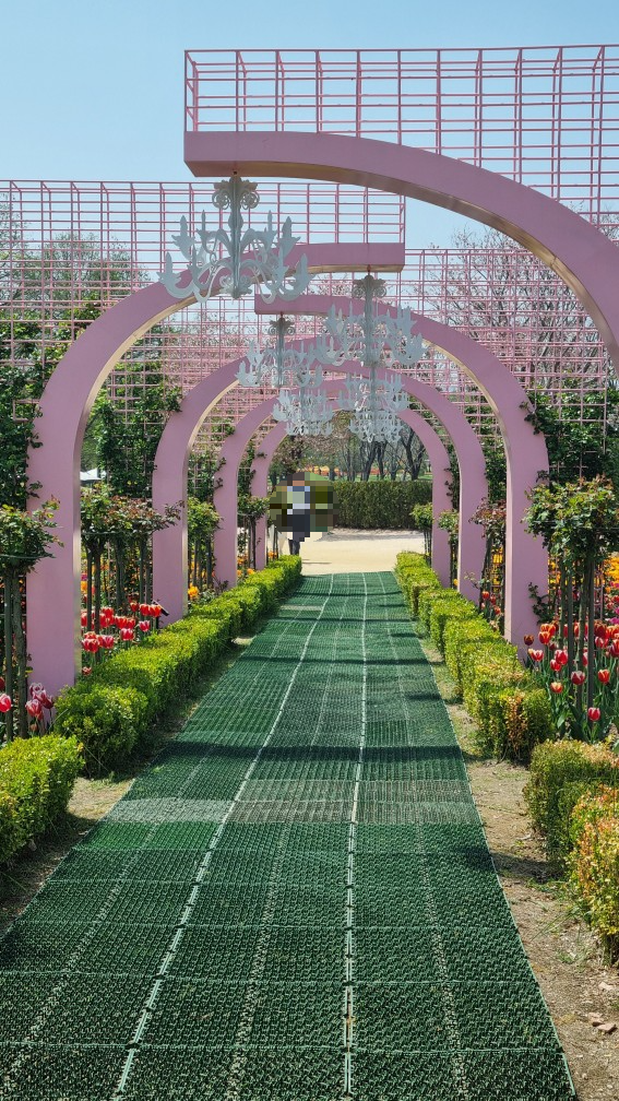 순천만 국가정원 동문 관람 코스 장미정원 (24년4월10일 기준 사진)