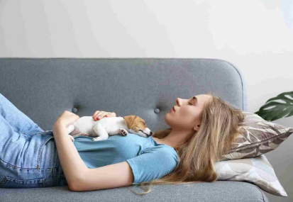 개가 주인의 배 위에서 자는 이유.