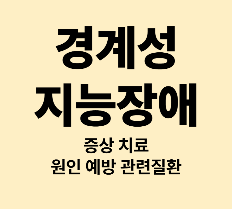 감정표현 독립생활 어렵다면 경계성 지능장애 증상 치료