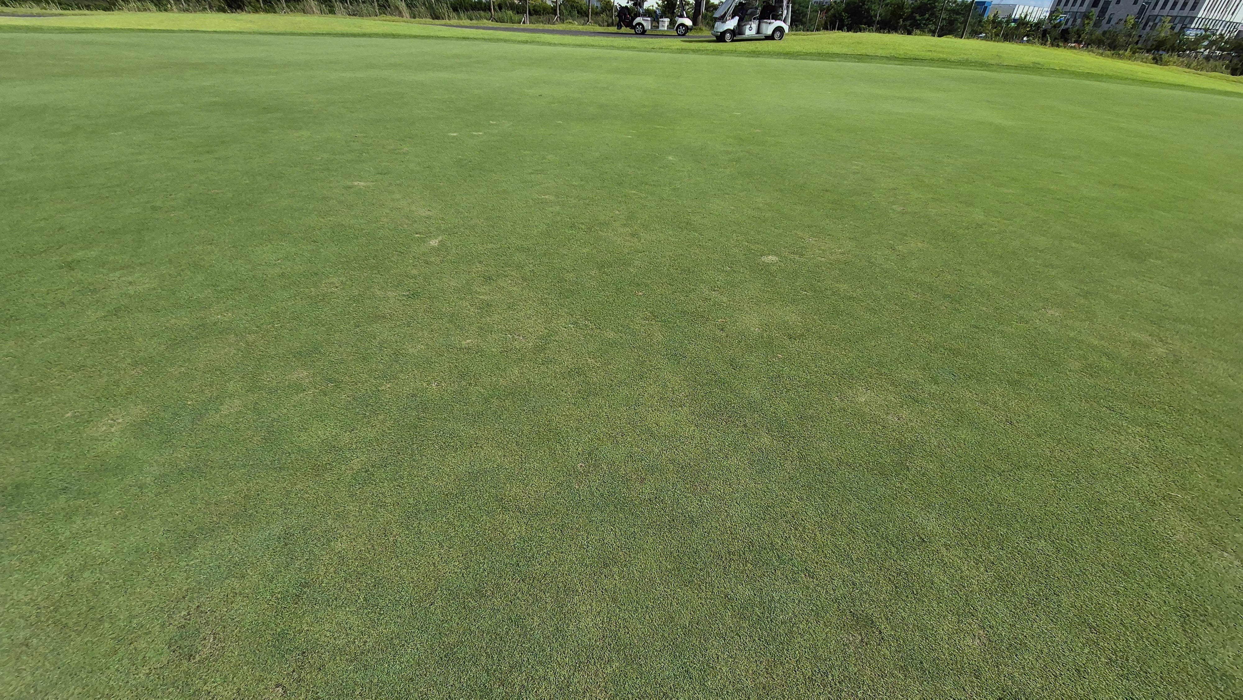 플라밍고cc 듄스-링크스 코스 라운드 후기