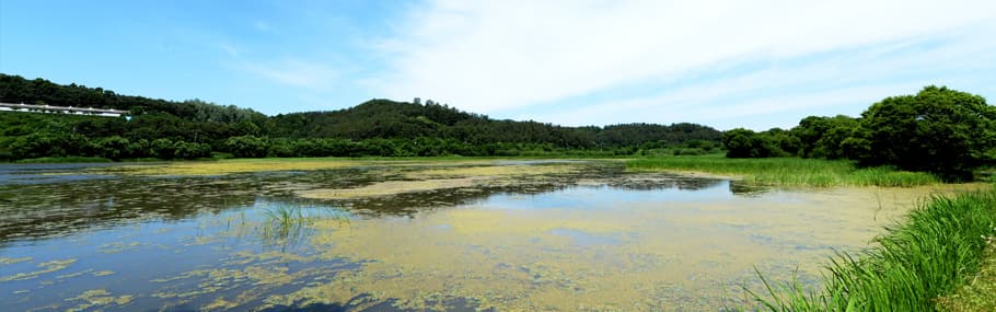 경남 창녕군 우포늪, 우포생태관, 우포출렁다리