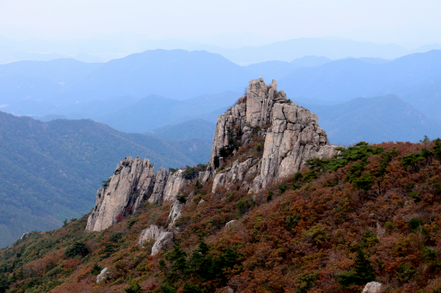 장흥 정착 리얼 가이드 &mdash; &ldquo;장흥은 막연한 시골이 아니라, 살아보면 의외로 편안한 &lsquo;생활권&rsquo;이다&rdquo;