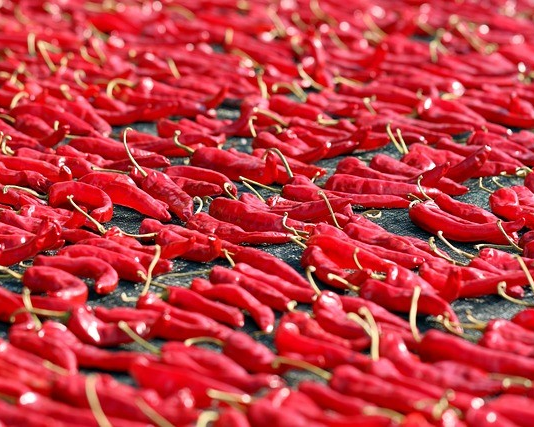 2024김장철 인기 김장재료