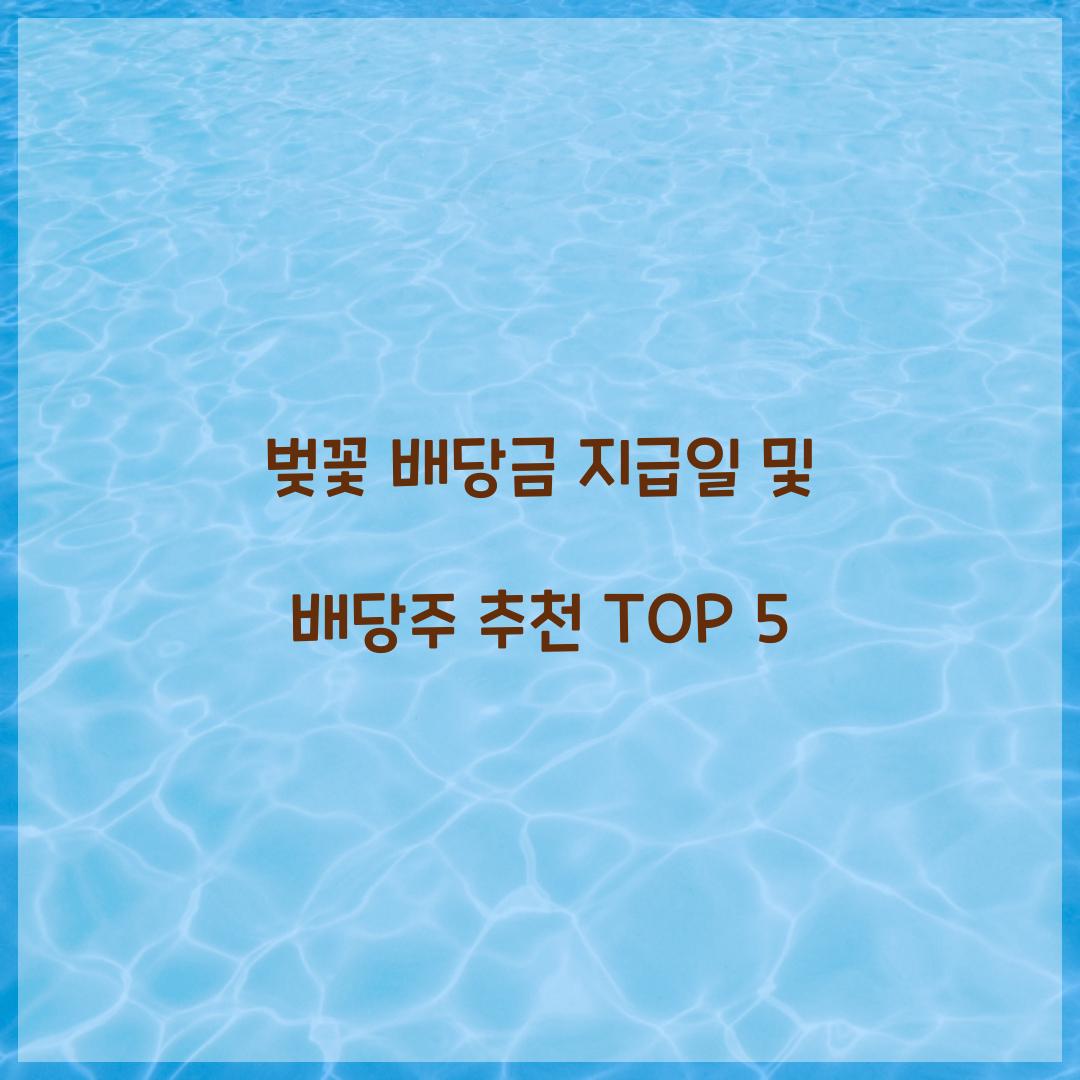 벚꽃 배당금