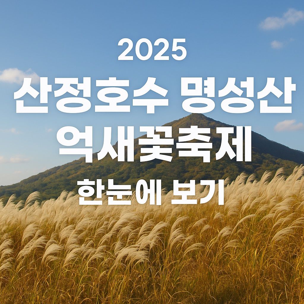 포천 산정호수 명성산 억새꽃축재