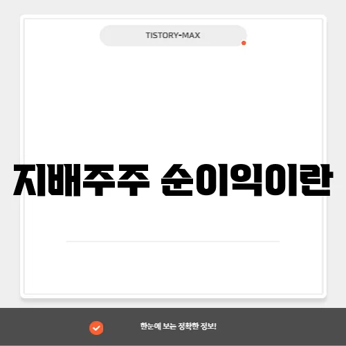 지배주주 순이익이란