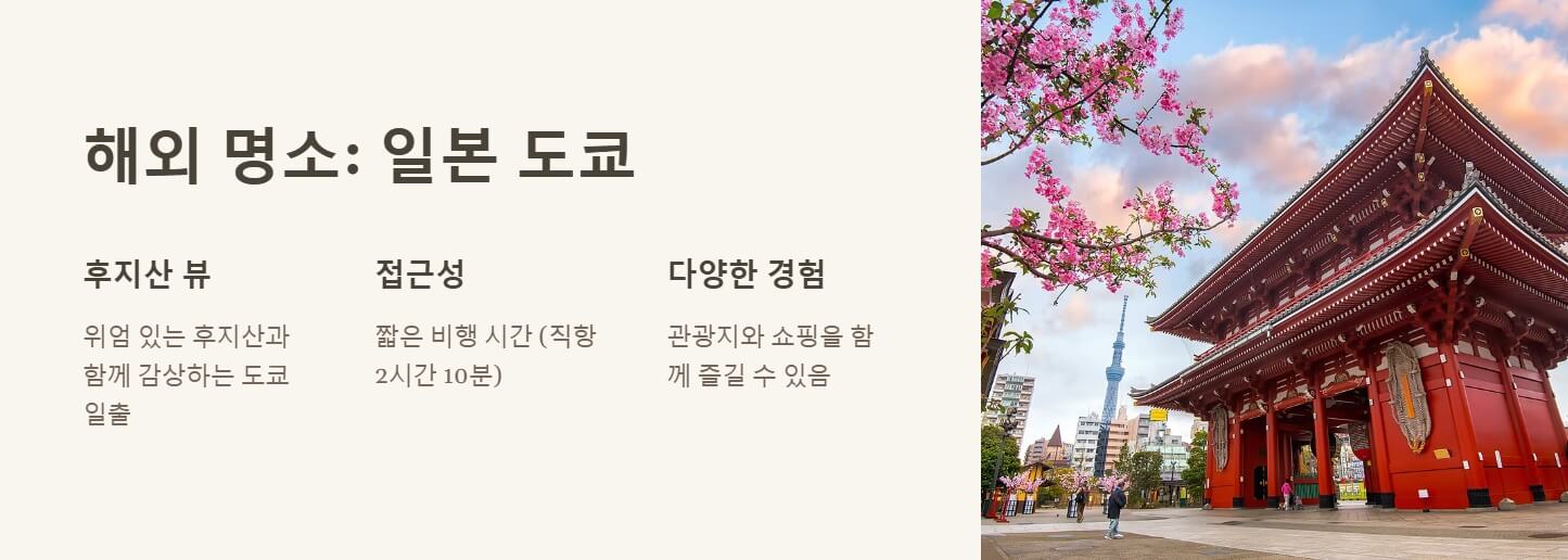 새해 일출여행