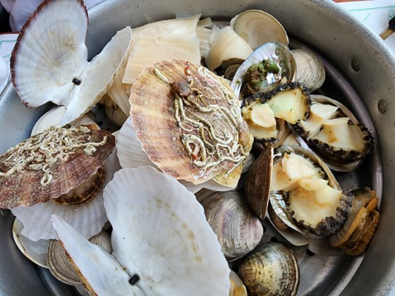 조개찜