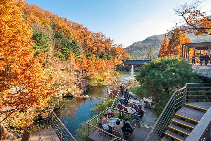 화담숲 예약 &amp; 방문 가이드 ❘ 봄 벚꽃부터 가을 단풍까지 완벽 정리