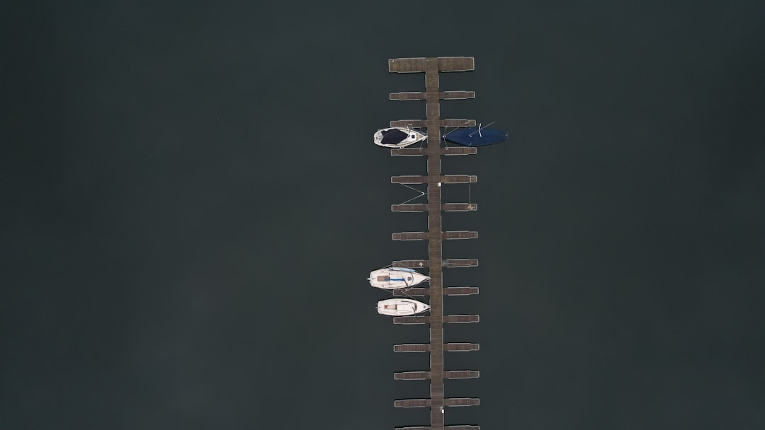 Carrier