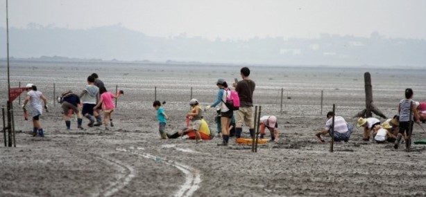 궁평항 갯벌체험