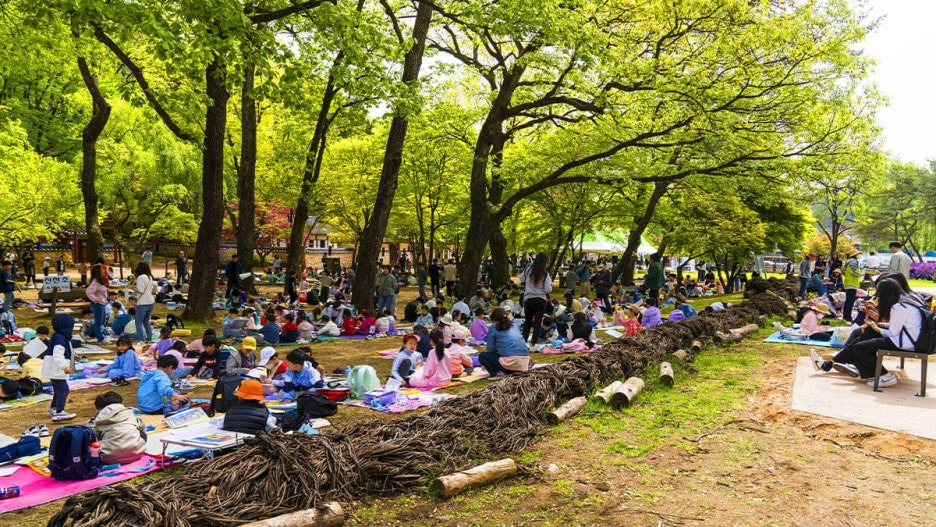 2026 영월 단종문화제
4월 24~26일 무료 입장,
불꽃·드론쇼까지