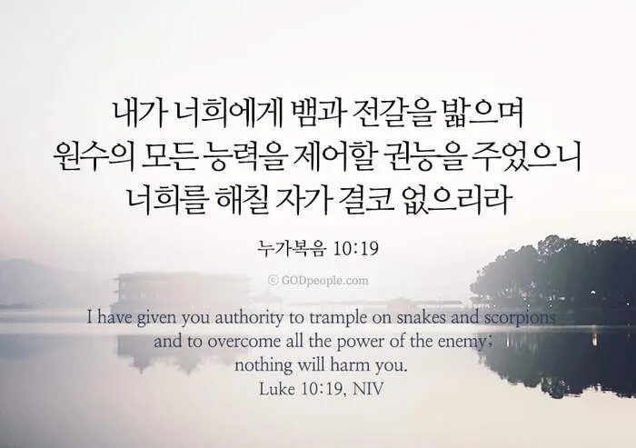 매일성경묵상과 사명(누가복음 10장 1-24절) 칠십 인의 제자를 파송하신 예수님_8