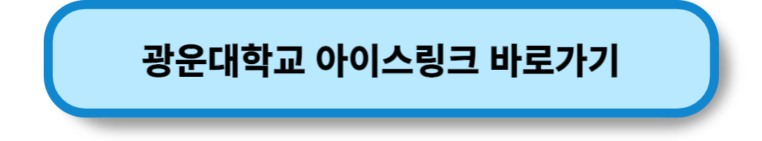 서울의 스케이트장 (24)