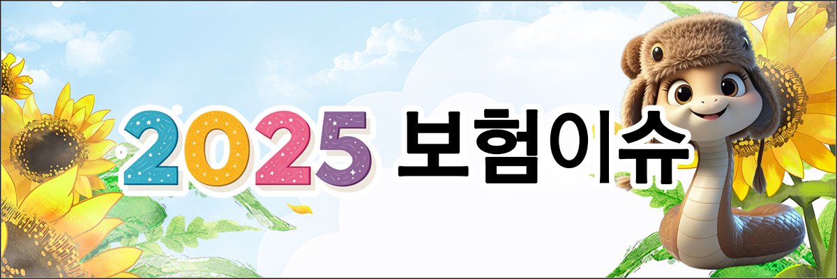 2025보험이슈