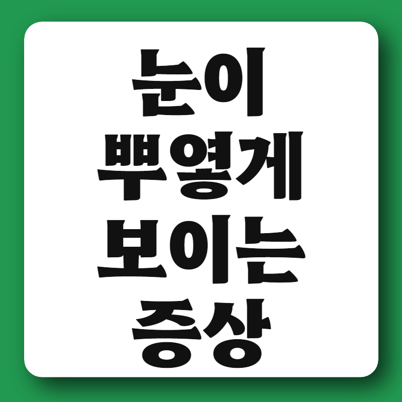 눈이 뿌옇게 보이는 증상