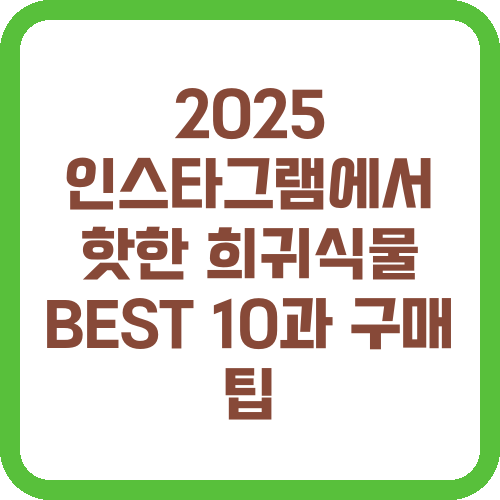 2025 인스타그램에서 핫한 희귀식물 BEST 10과 구매 팁