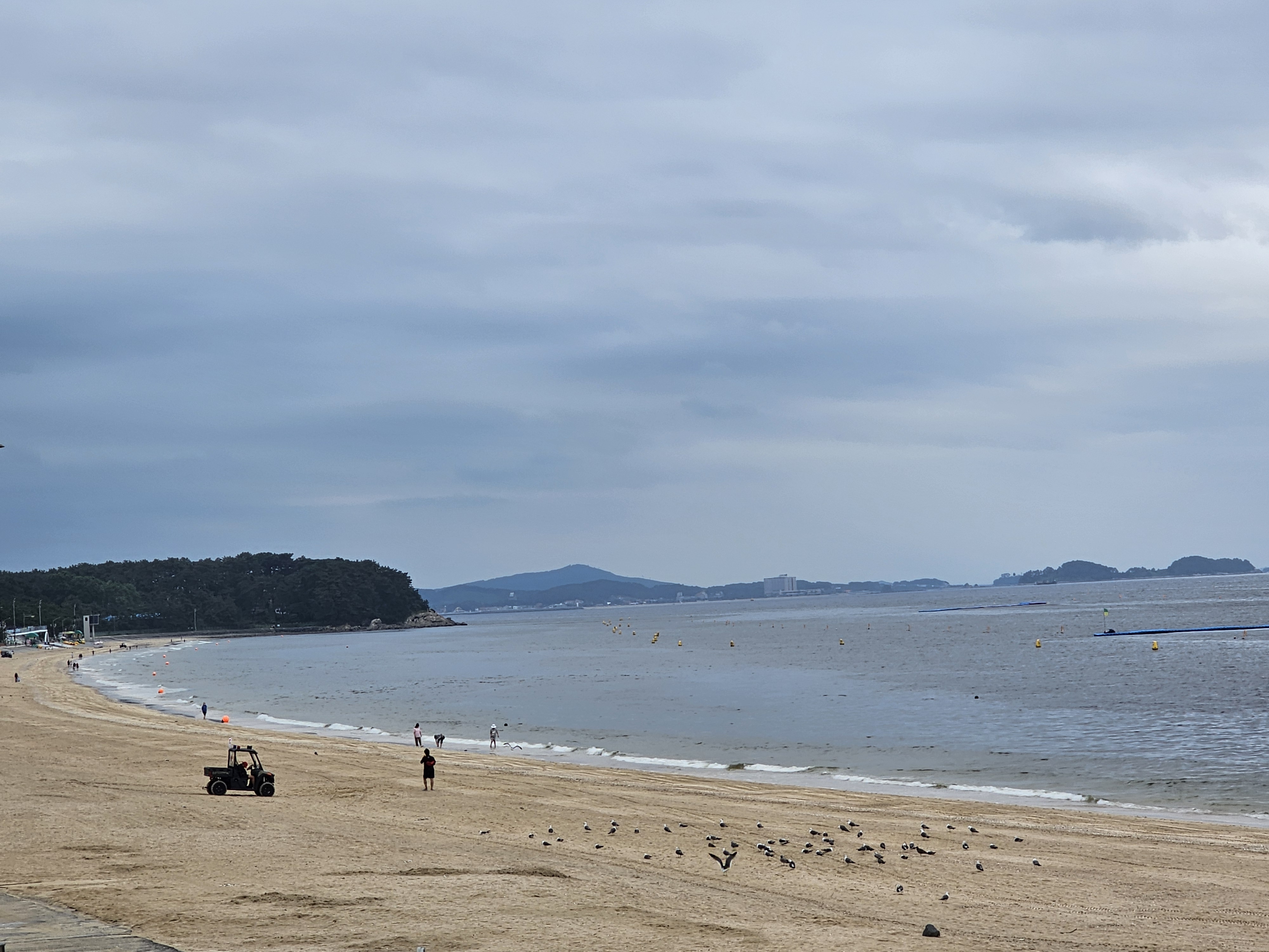 대천해수욕장 백사장