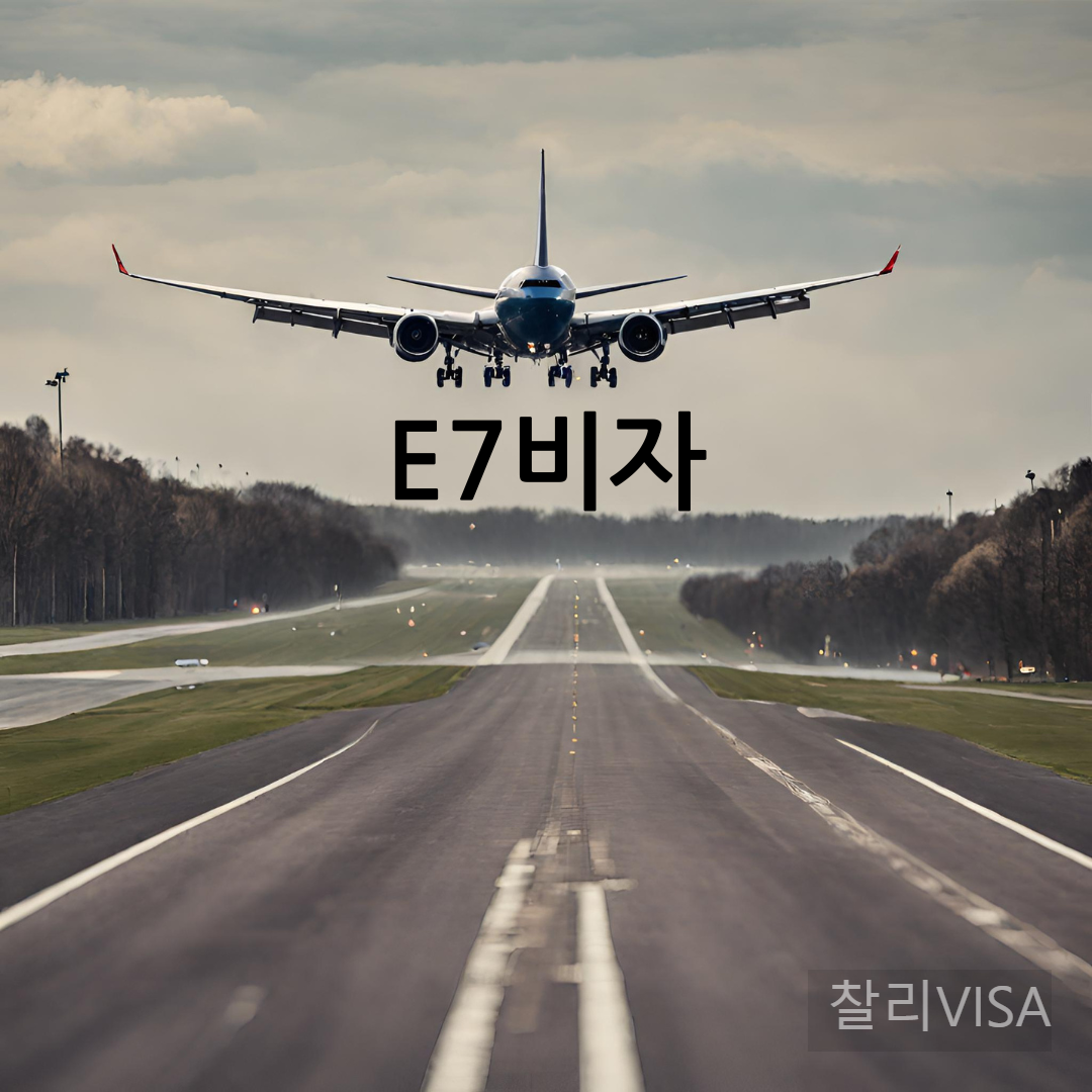 E7 비자 입국