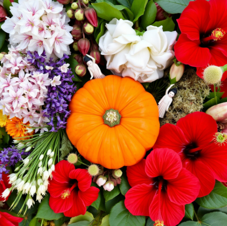 맨올로지컷프로-후기-효과-성분-복용법