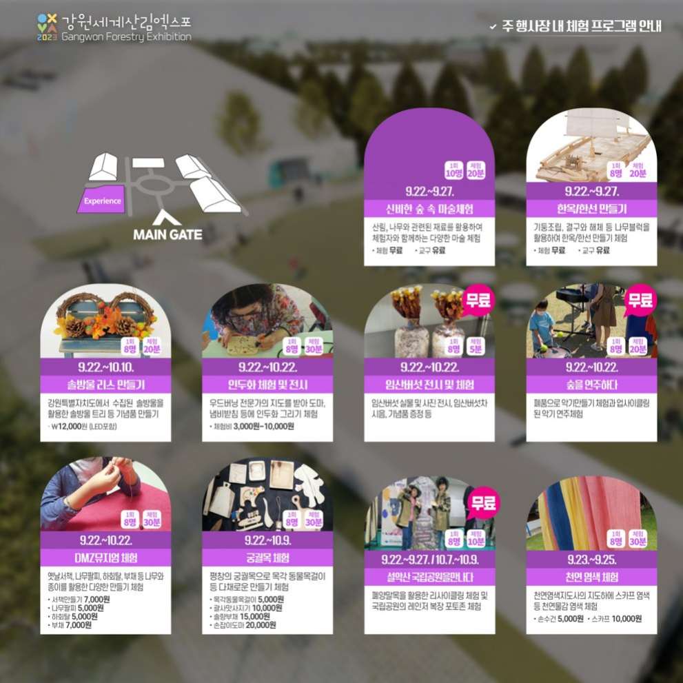 강원 세계산림엑스포