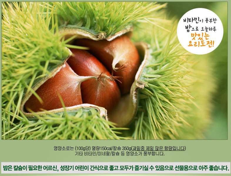 비타민이 풍부한 공주 알밤