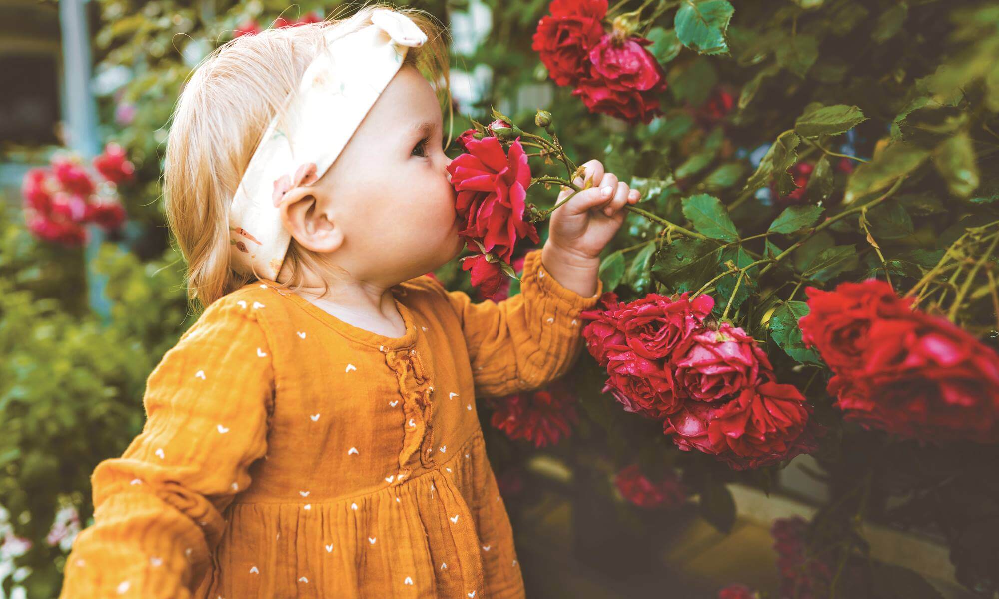 향기롭고 뽀송뽀송한 수건 