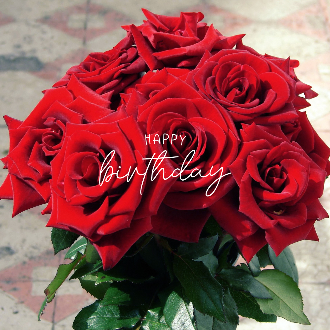 .생일 축하 메세지 꽃다말 이미지 모음