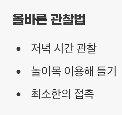 실수 5. 잦은 핸들링과 스트레스