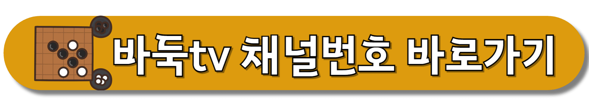 바둑tv-채널번호-바로가기