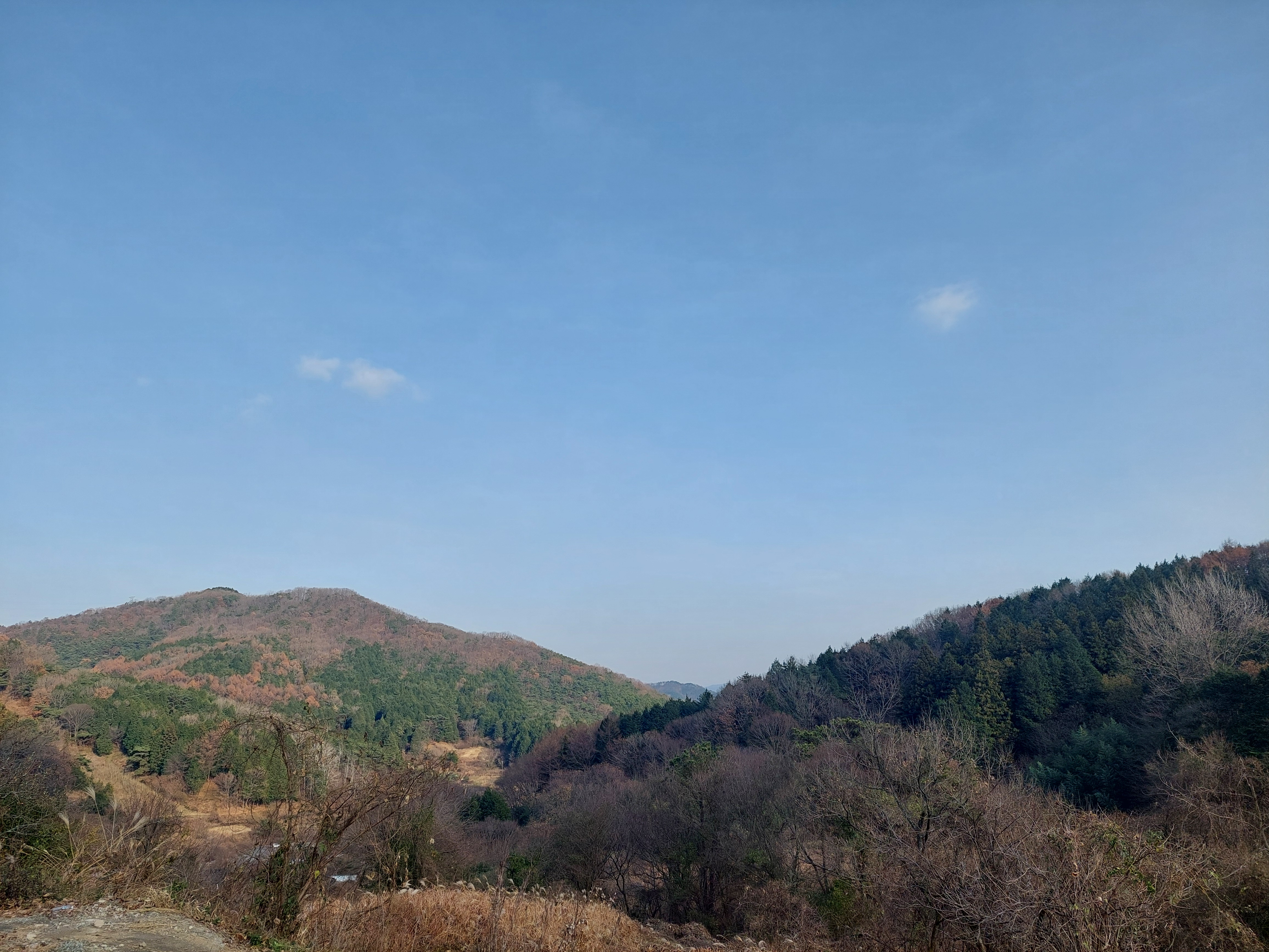 축령산