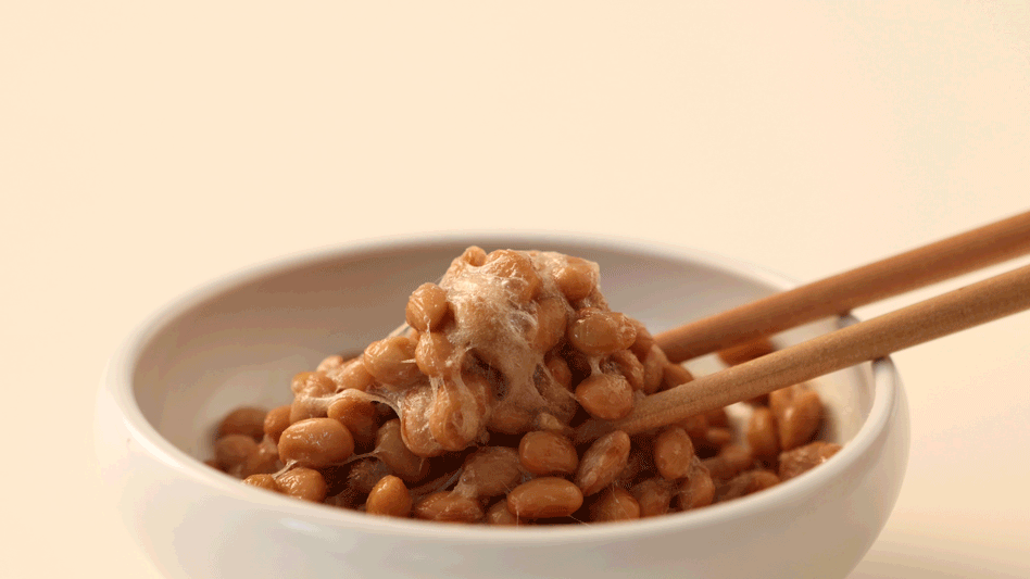 국산콩 생나또 연출 영상