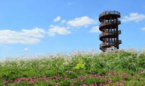 시흥 갯골생태공원