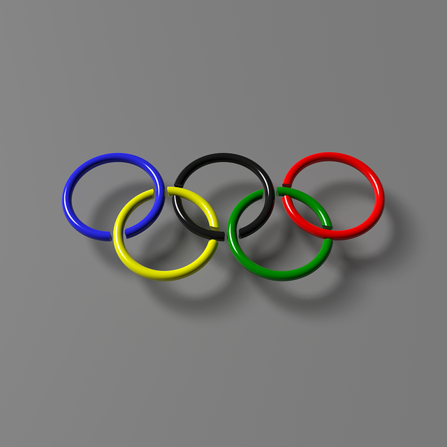 파리 올림픽 2024