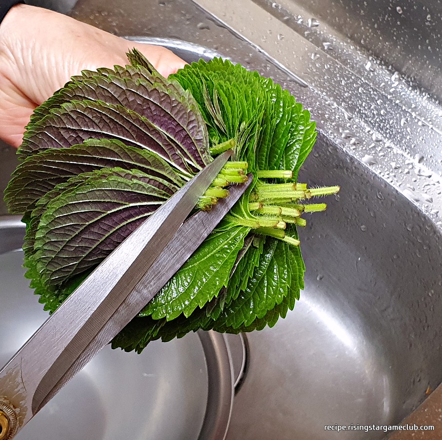 깻잎전에 들어갈 깻잎의 꼭지를 제거하는 사진