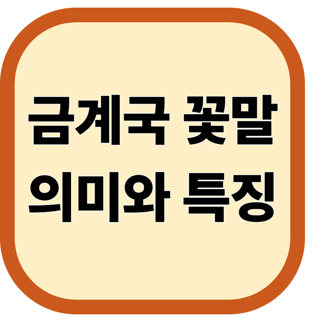 금계국 꽃말 의미와 특징