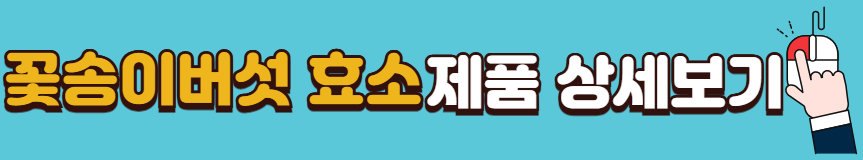 한가인-영양제-꽃송이버섯-효소-가격