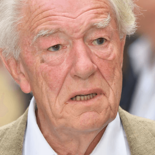 덤블도어 마이클 갬본 사망