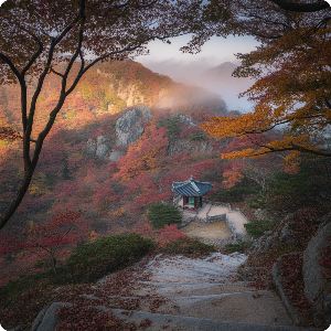 2025년 단풍 절정 시기&middot;명소 이미지