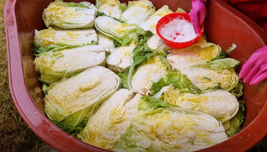 오늘N 이 맛에 산다 부안 부건농장 직거래 농산물 절임배추 고추가루 김장김치재료