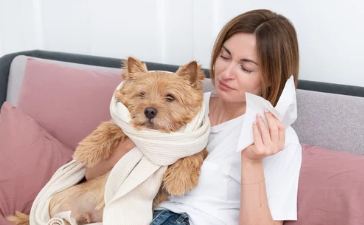 강아지사진/출처:어도비스톡