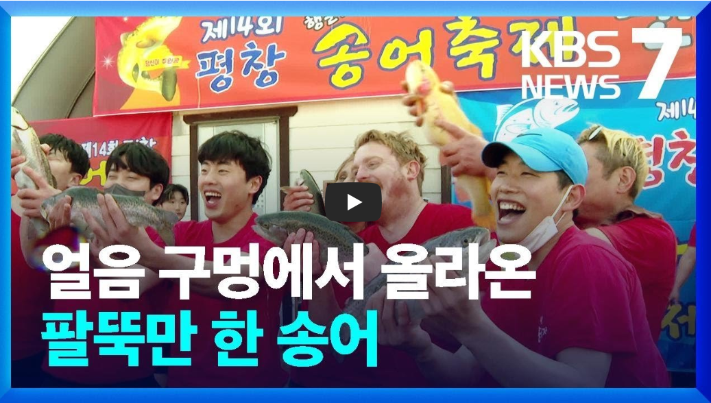 2024 강원도 평창 송어 축제