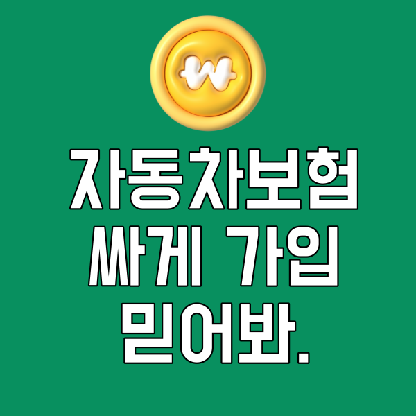 자동차보험싸게가입